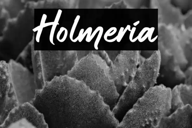 Holmeria Font examples