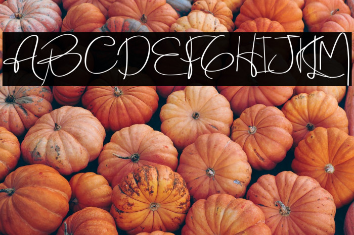 Holmes Signature Example 1