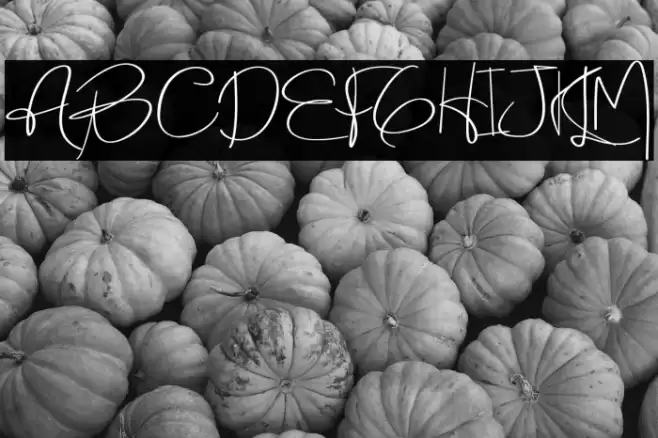 Holmes Signature Font examples