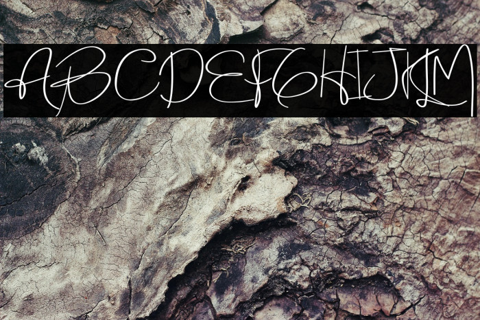 Holmes Signature Example 2