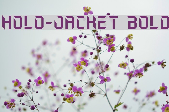 Holo-Jacket Bold Font examples