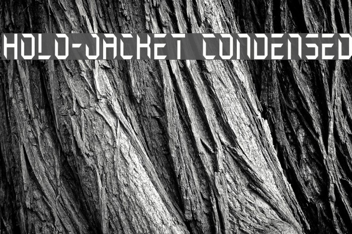 Holo-Jacket Condensed Font examples