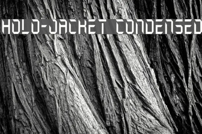 Holo-Jacket Condensed Example 2