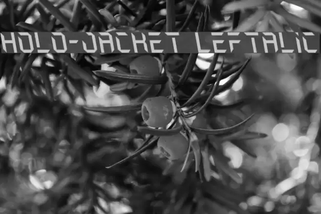 Holo-Jacket Leftalic Font examples