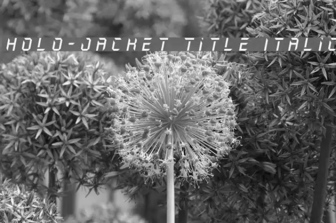 Holo-Jacket Title Italic Font examples