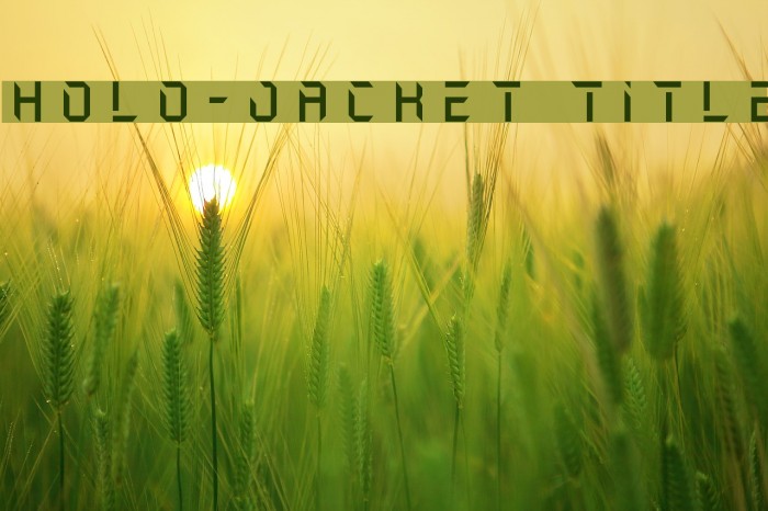 Holo-Jacket Title Font examples