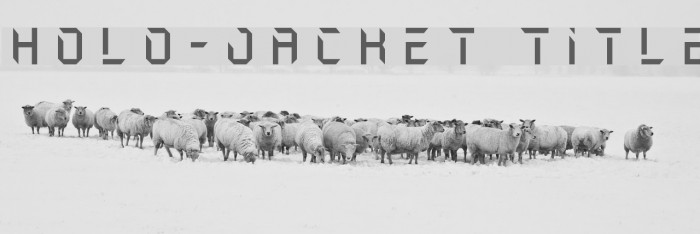 Holo-Jacket Title Font examples