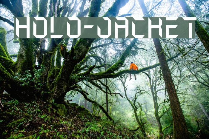 Holo-Jacket Font examples