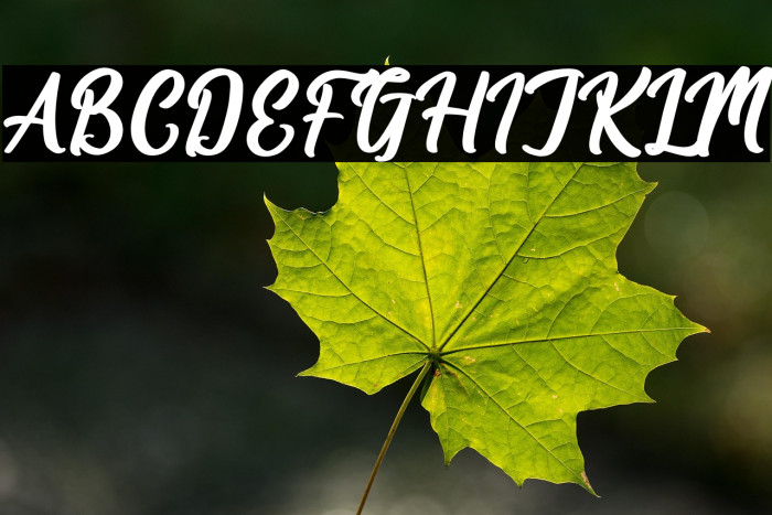 Hologram Kalenda Example 1