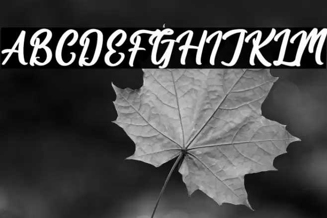 Hologram Kalenda Font examples