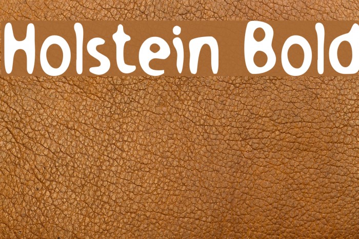 Holstein Bold Font examples