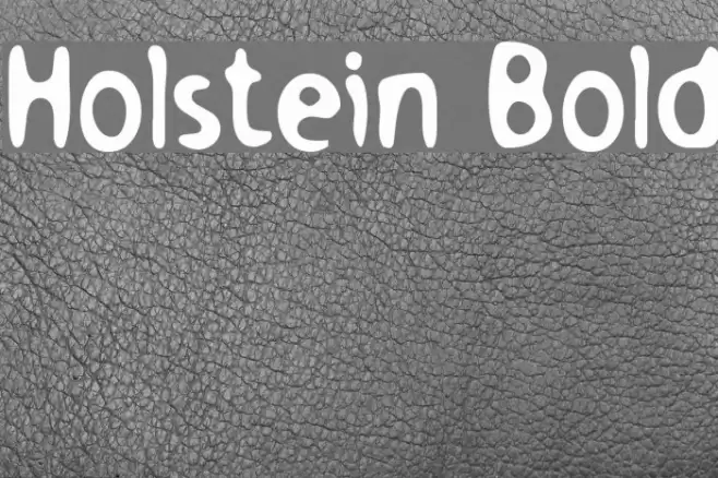 Holstein Bold Font examples