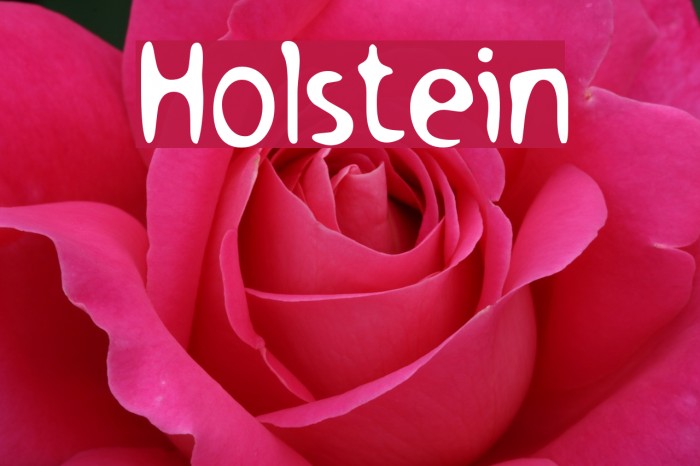 Holstein Font examples