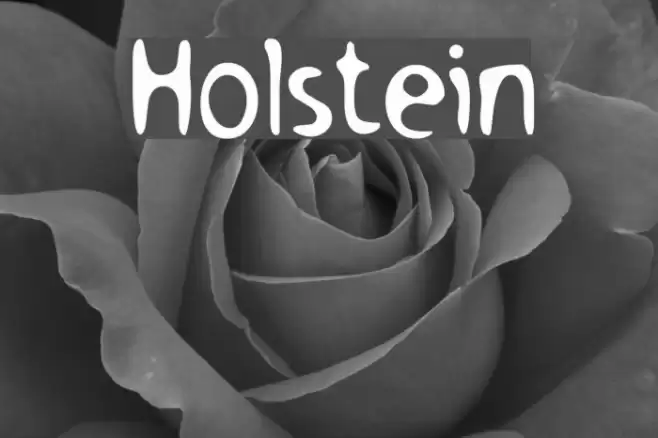 Holstein フォント examples