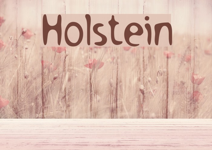 Holstein Font examples