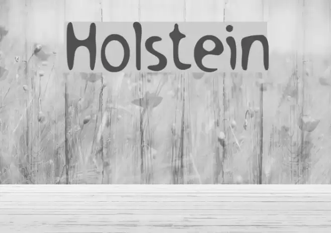 Holstein フォント examples