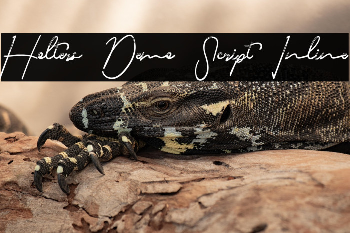 Holters Demo Script Inline Example 1