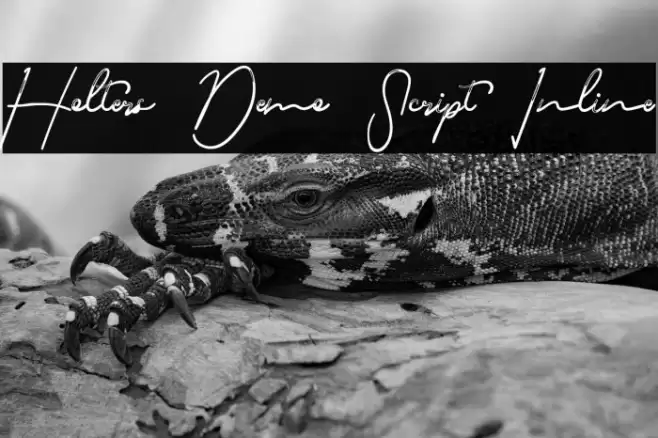 Holters Demo Script Inline フォント examples