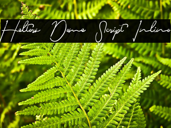 Holters Demo Script Inline Example 3