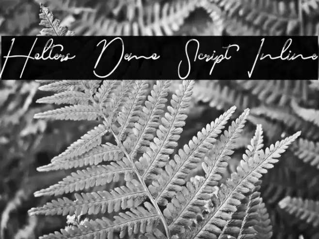 Holters Demo Script Inline フォント examples