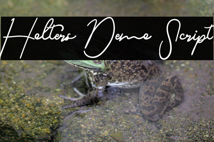 Holters Demo Script Example 1