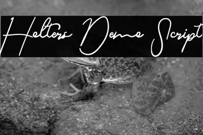 Holters Demo Script フォント examples