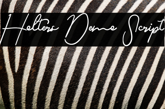 Holters Demo Script Example 2