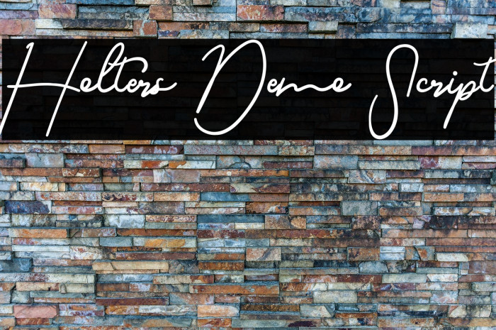 Holters Demo Script Example 3