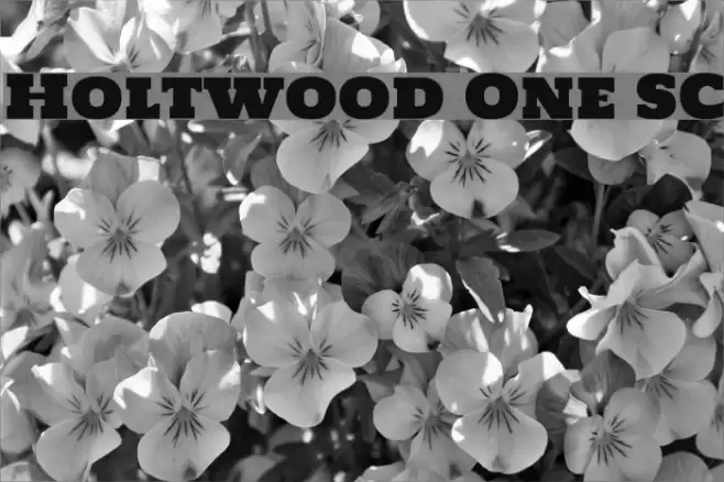 Holtwood One SC Font examples