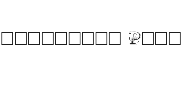 Holtzschue Plain Logo