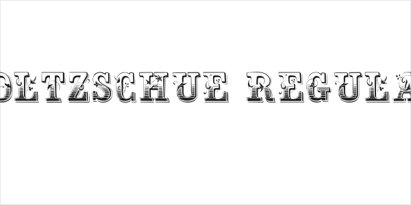 Holtzschue Regular Logo