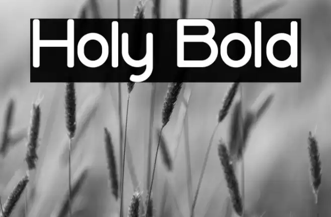 Holy Bold Font examples