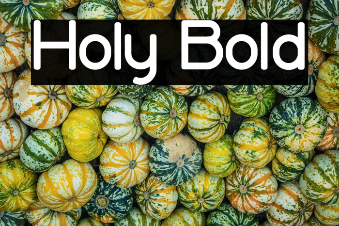Holy Bold Example 2