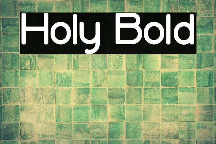 Holy Bold Example 3