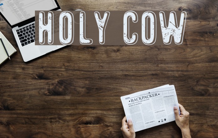 Holy Cow Font examples