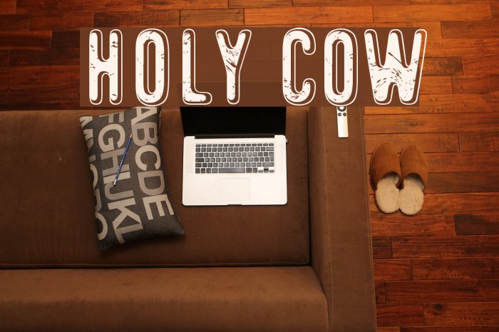 Holy Cow Font examples