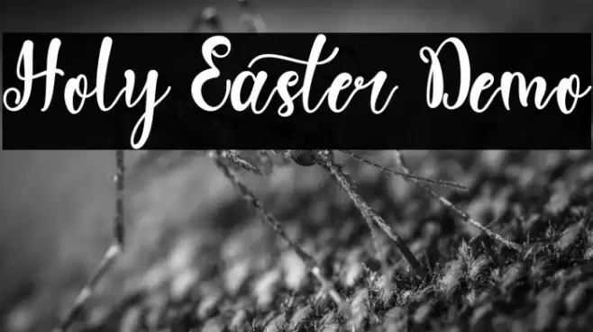 Holy Easter Demo Caratteri examples