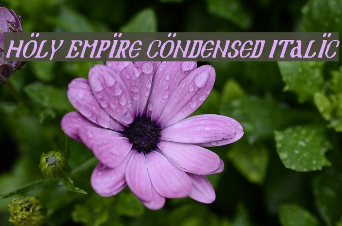 Holy Empire Condensed Italic Polices examples