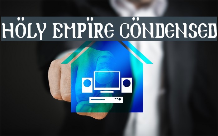 Holy Empire Condensed Polices examples