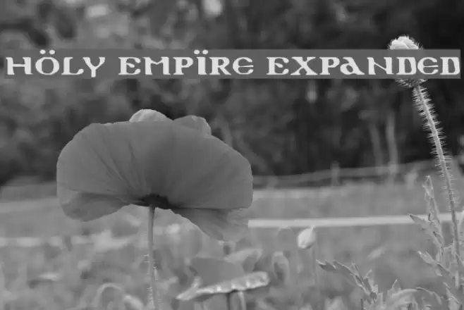 Holy Empire Expanded フォント examples