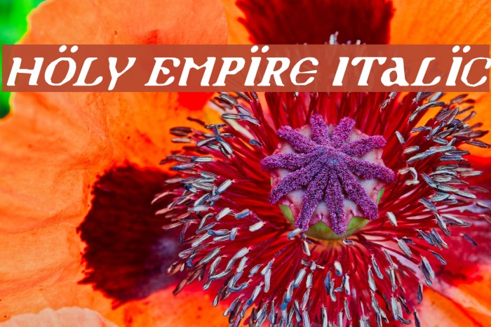 Holy Empire Italic Font examples