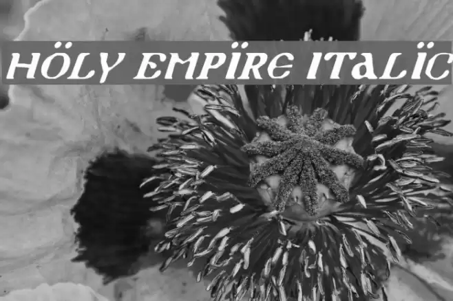 Holy Empire Italic Шрифта examples
