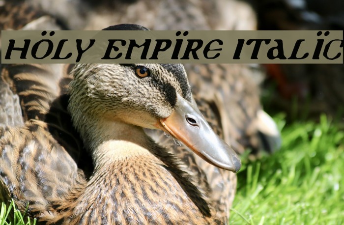 Holy Empire Italic Font examples