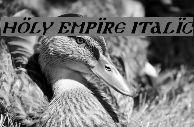 Holy Empire Italic Шрифта examples