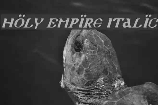 Holy Empire Italic Шрифта examples