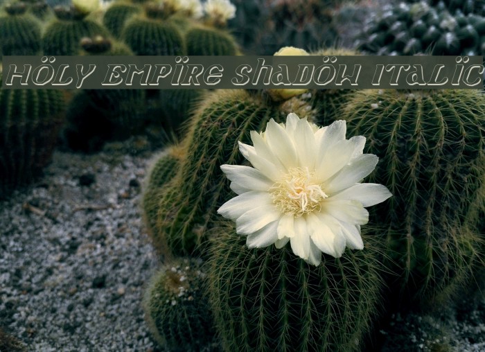 Holy Empire Shadow Italic Font examples