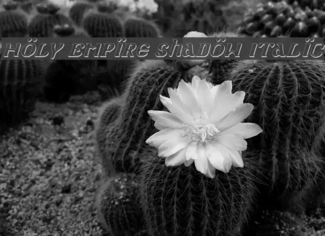 Holy Empire Shadow Italic خط examples
