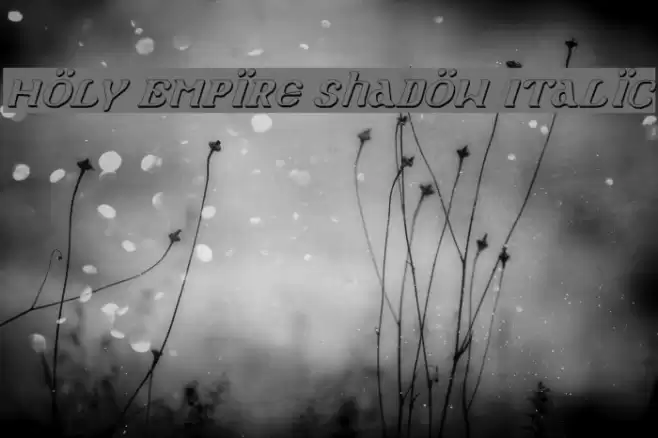 Holy Empire Shadow Italic خط examples