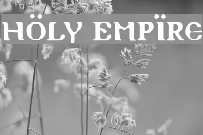 Holy Empire Polices examples