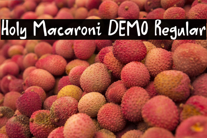 Holy Macaroni DEMO Regular Example 2